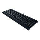 Razer Cynosa | Lite | Black