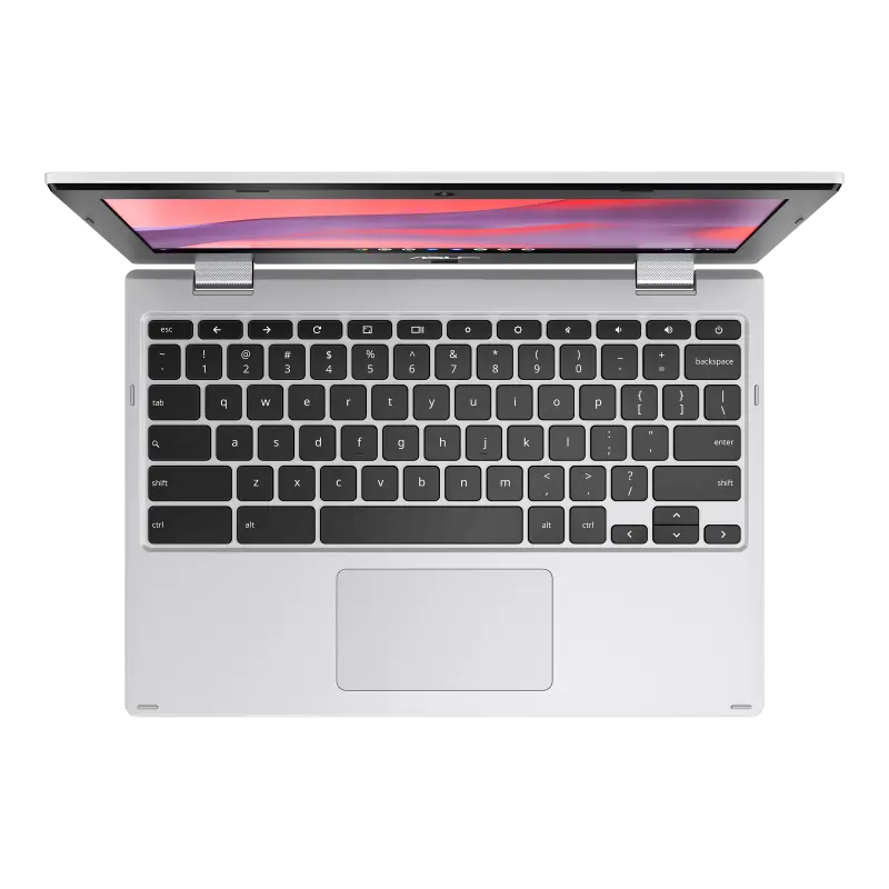 w800 (3).webp