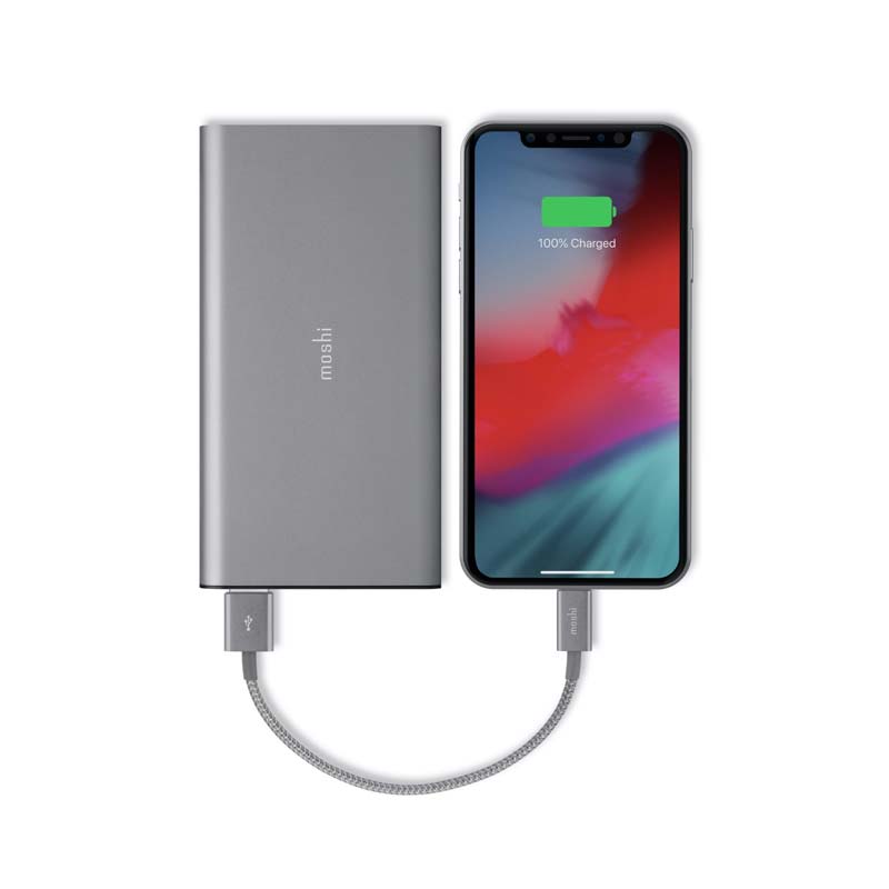 Moshi Integra USB to Lightning Cable - Titanium Gray