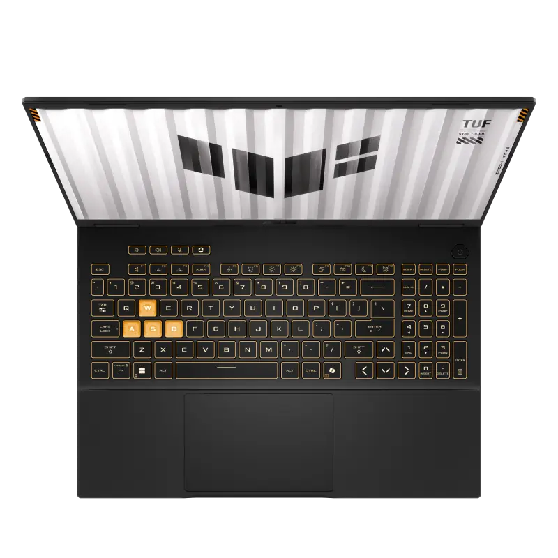 w800 (1).webp
