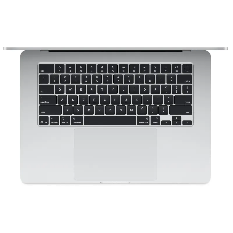 Silver.webp