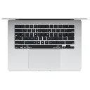 Silver.webp
