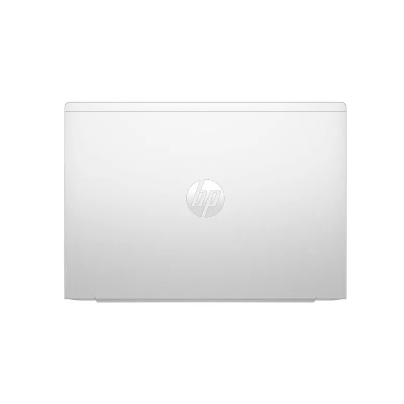 4.webp
