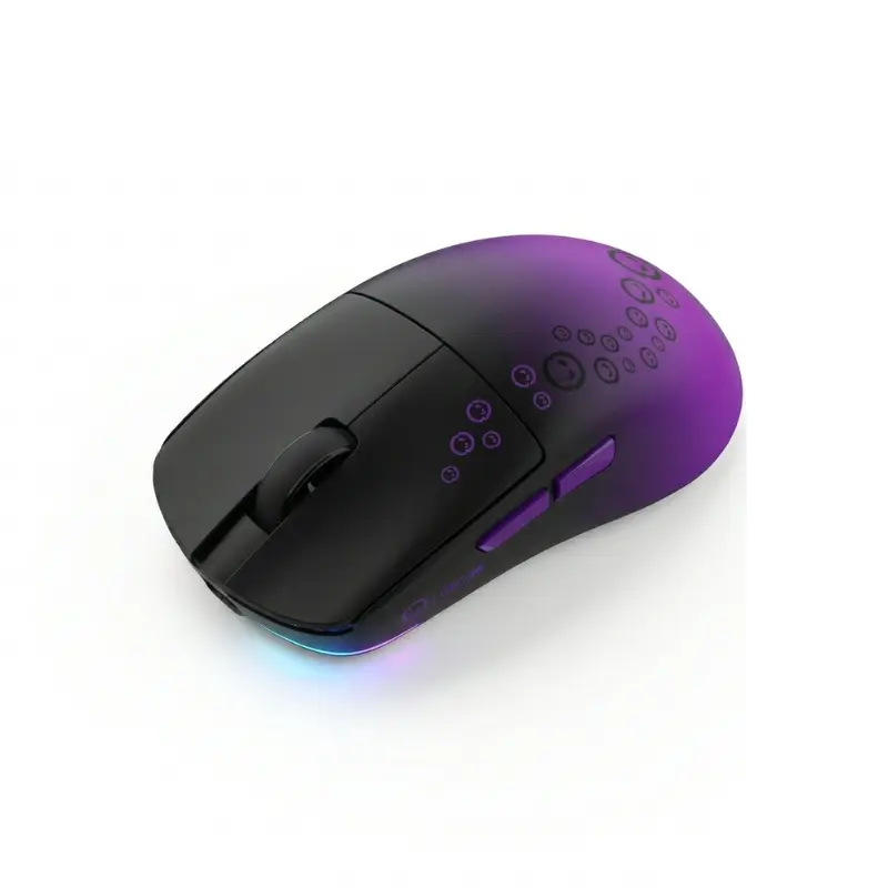 4.webp