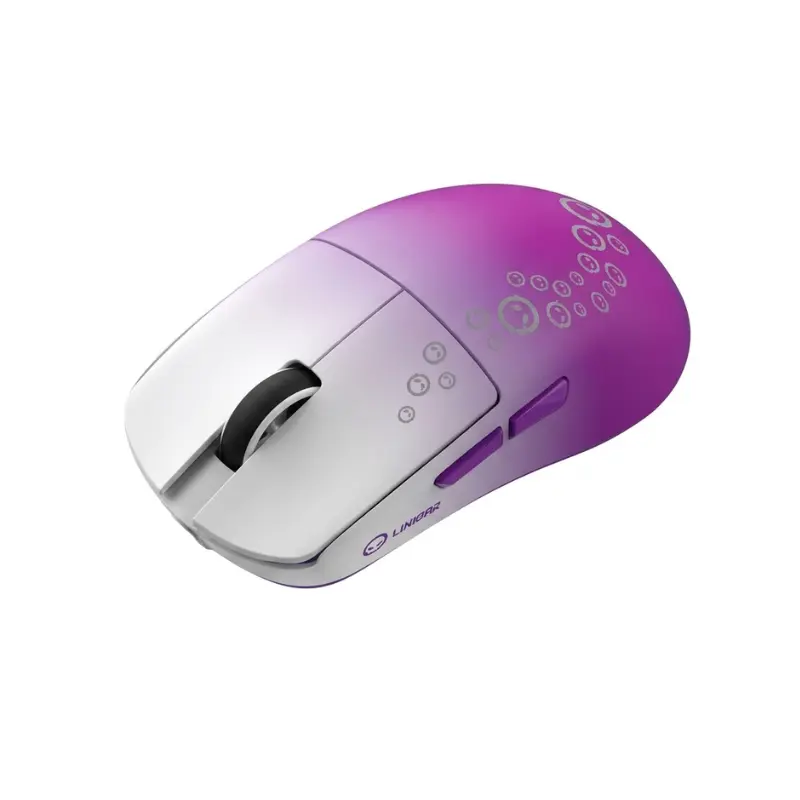 3.webp