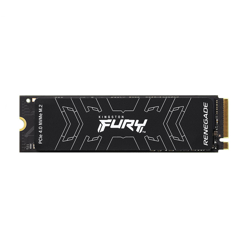 Kingston Fury Renegade SSD (M.2 - NVME) | PCIe 4.0 | 500GB